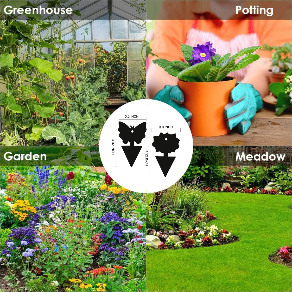 Springco Fruit Fly Traps or Indoor/Outdoor Gnat Sticky Traps House Plants Fungus Traps Insect Catcher for Mosquitoes, Bug,White,Fungus Gnats,Flies,Pest Insect (108(96+12+6+1) 115pack)