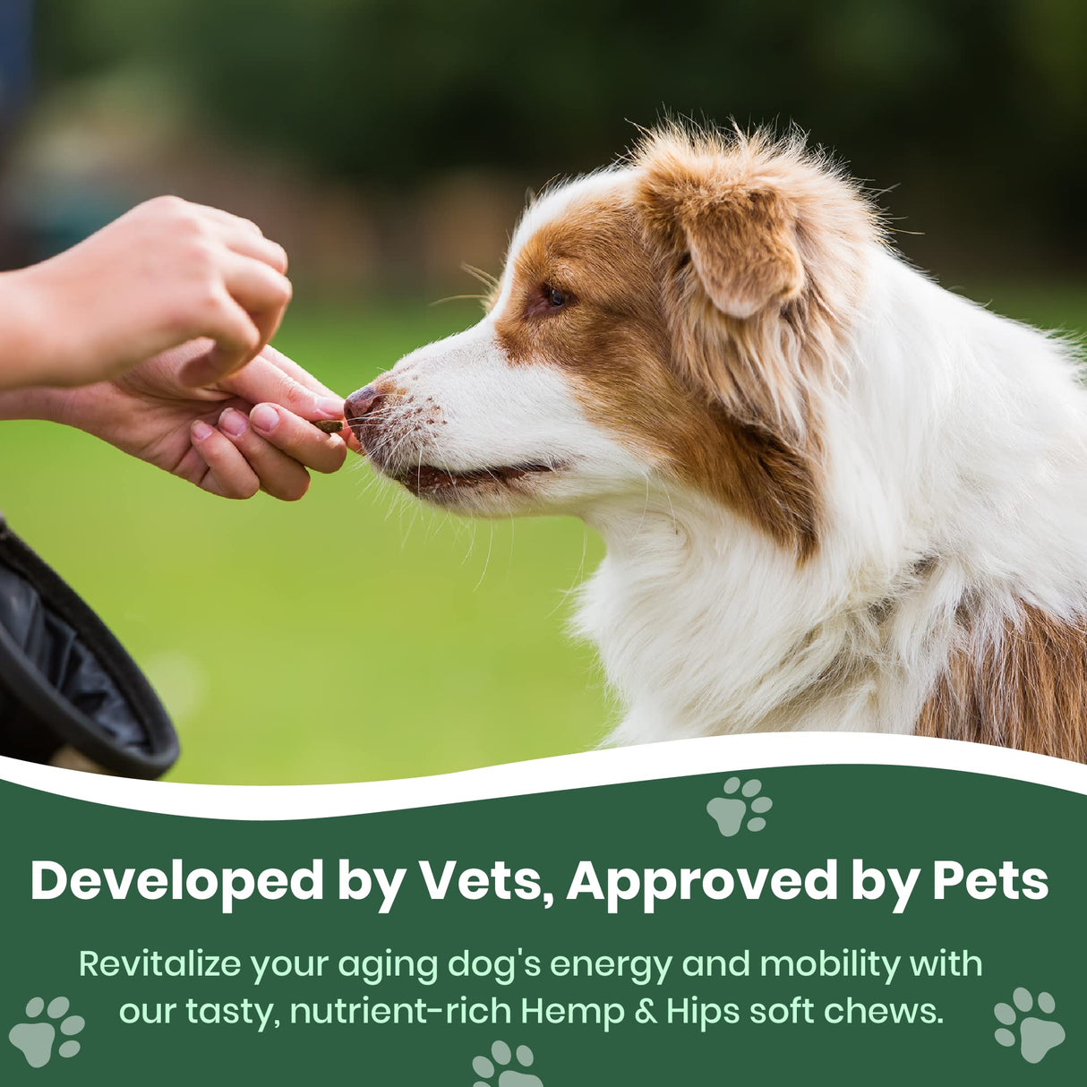 Veterinary Naturals Hemp & HIPS Joint Supplement for Dogs/Supports Relief from Hip and Joint Pain in Large, Aging Dogs (Senior Large Breed, Chicken)