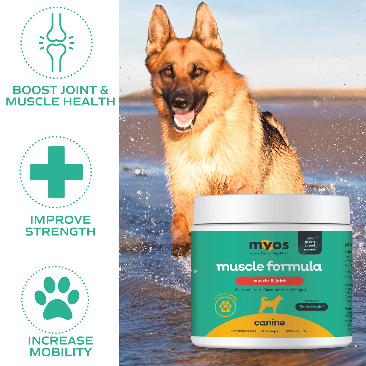 MYOS Muscle & Joint Powered by Fortetropin with Green Lipped Mussel (198 gr)