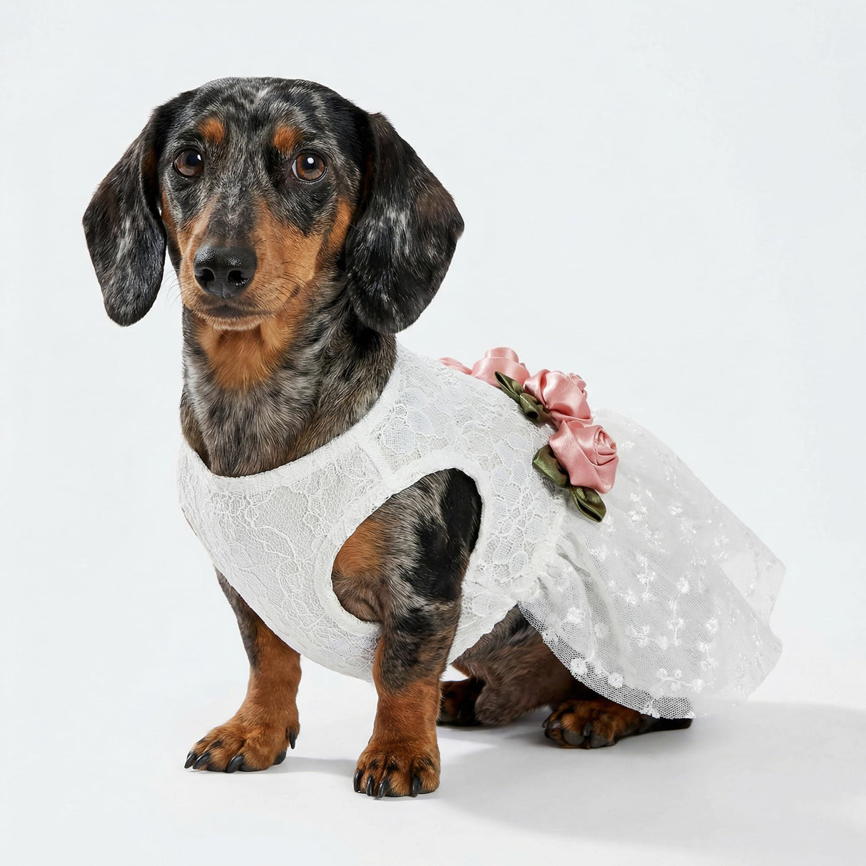 Fitwarm Luxury Rose Lace Pet Dog Weddding Dress Bride Clothes Formal Apparel, XX-Small
