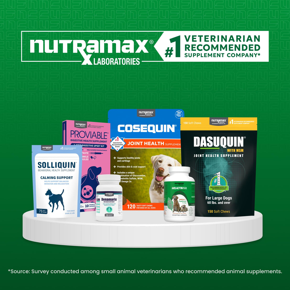 Nutramax Denosyl Liver and Brain Health Supplement for Medium Dogs - With S-Adenosylmethionine (SAMe), 30 Tablets