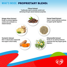 Load image into Gallery viewer, Natural Intestinal Defense for Dogs, Puppies & Cats, Kitten – Herbal Cleanse with Wormwood, Black Walnut – Promotes Healthy Gut – Advanced Broad Spectrum Formula for Large, Medium Small para Perros