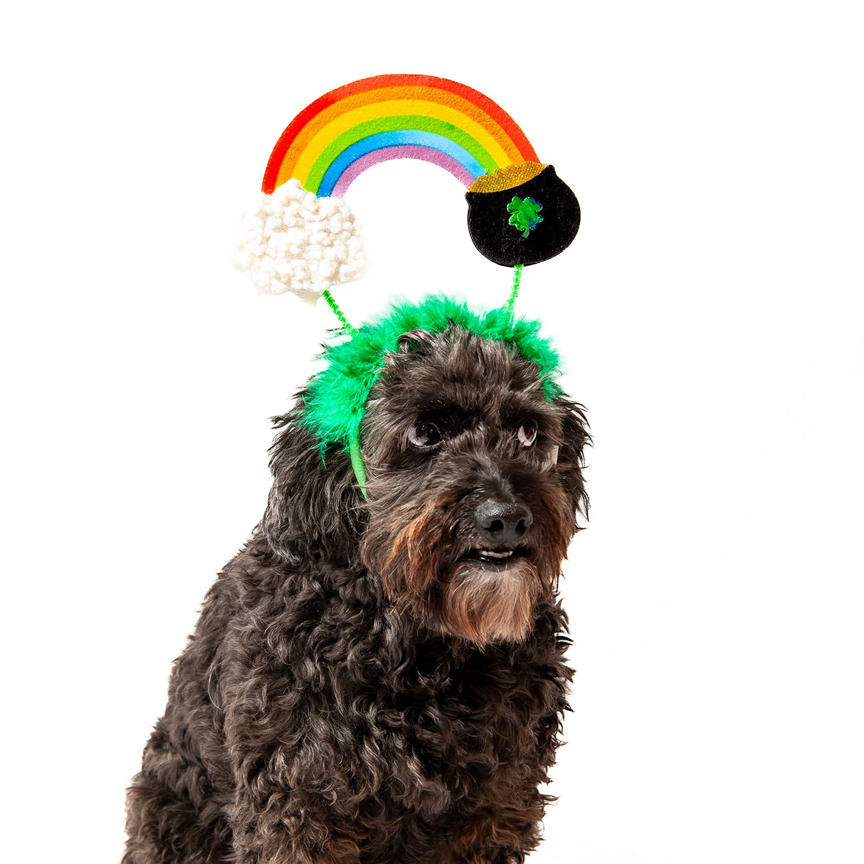 Midlee St. Patrick's Rainbow Pot of Gold Dog Headband Costume