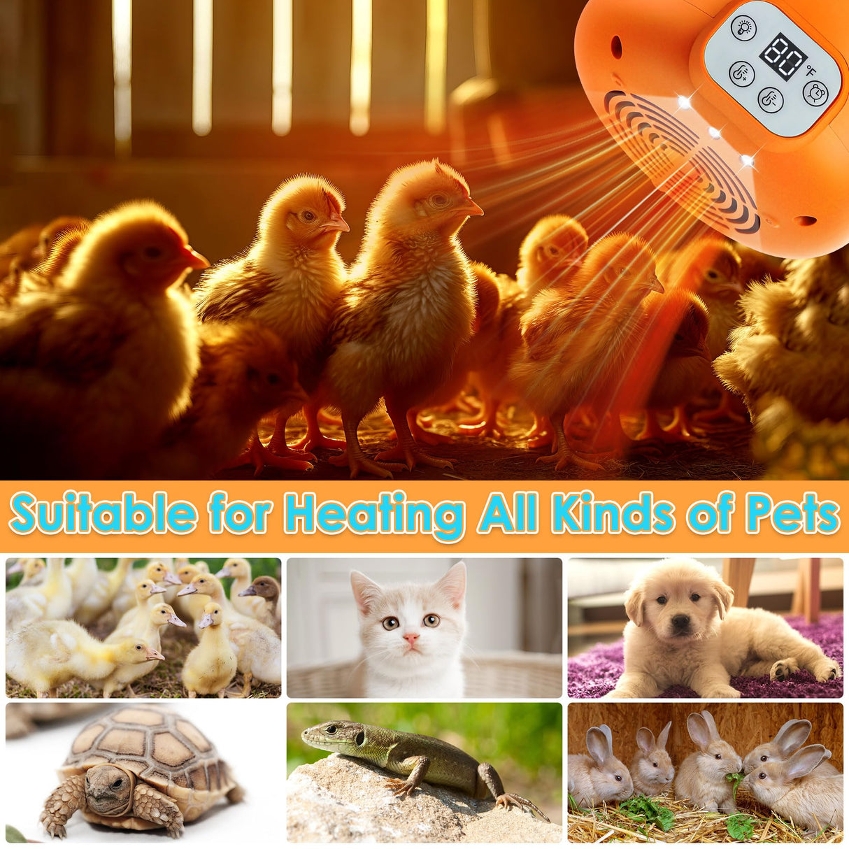 Enhon 2 Pack Chicken Coop Heater, Timing Heat Lamp for Chickens, Smart Temperature Control Chicken Brooder Heater, 5 Ft Ultra Long Cable Reptile Heating Lamp for Chicks Duck Dog Cats, No Remote