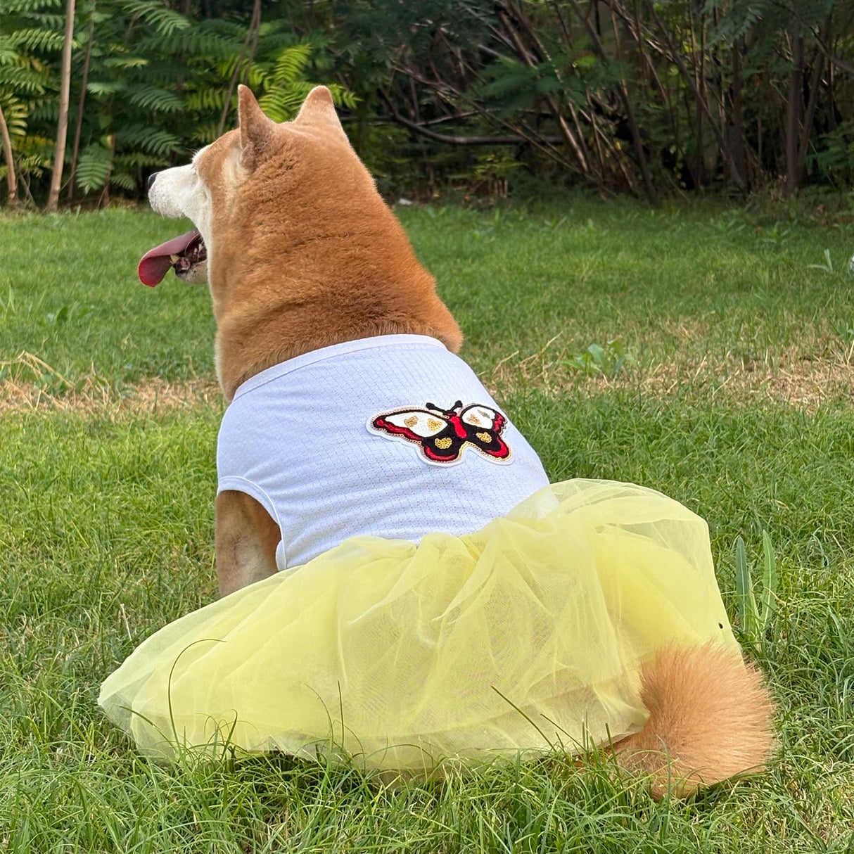 UOSIA Dog Princess Dresses for Large Dogs Girls Sleeveless Pullover Wedding Birthday Tutu Dress with Butterfly Embroidered Summer Breathable Big Breed Female Dog Clothes(Yellow,5XL)
