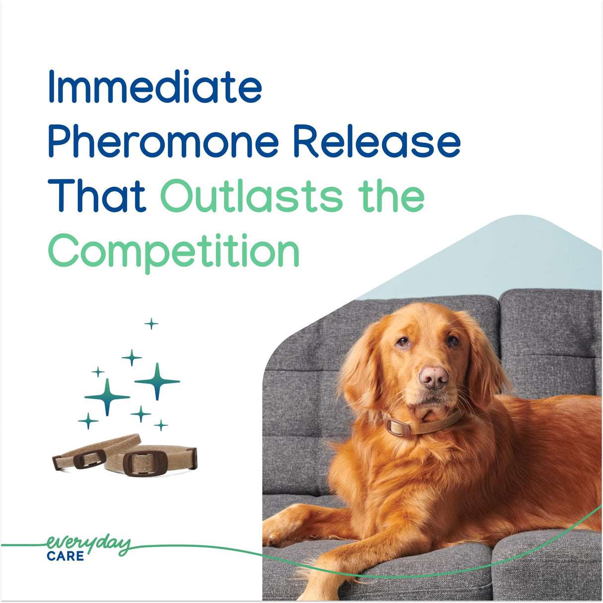 Virbac ZENIDOG Long Acting Dog Calming Pheromone Collar for Stress Relief, Medium/Large Dog - Lasts up to 3 Months