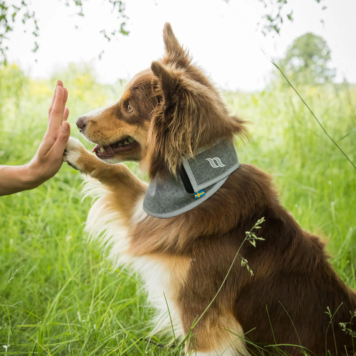 Back on Track Draco High Visibility Reflective Bandana for Active Dogs - Safety and Comfort on Every Adventure, Grey - S