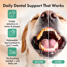 Load image into Gallery viewer, Dog Dental Powder – Dog Breath Freshener – Plaque Off and Tartar Remover for Dogs, Bad Breath Treatment, Natural Tooth Cleaning Powder for Dogs of All Breeds – Oral Care Supplement – Duck Flavor