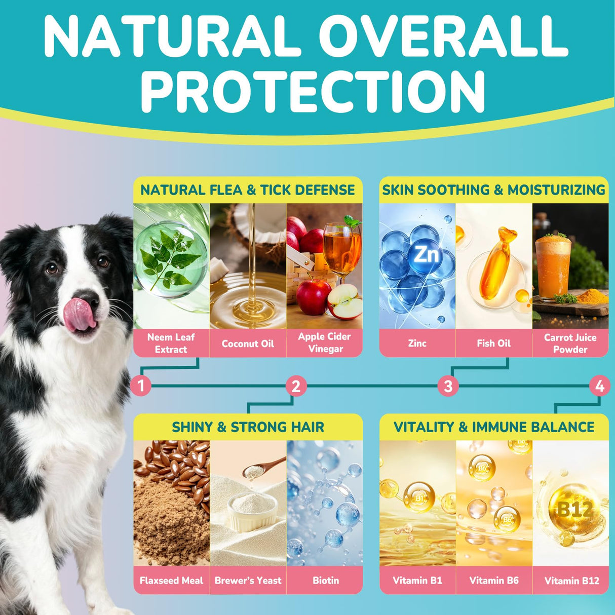 Woyamay Flea + Coat Glow Soft Chews, Natural Flea and Tick Prevention for Dogs, Dog Flea and Tick Treatment Chewable, Reduces Itch & Shedding with Fish Oil & Neem, Chicken Flavor