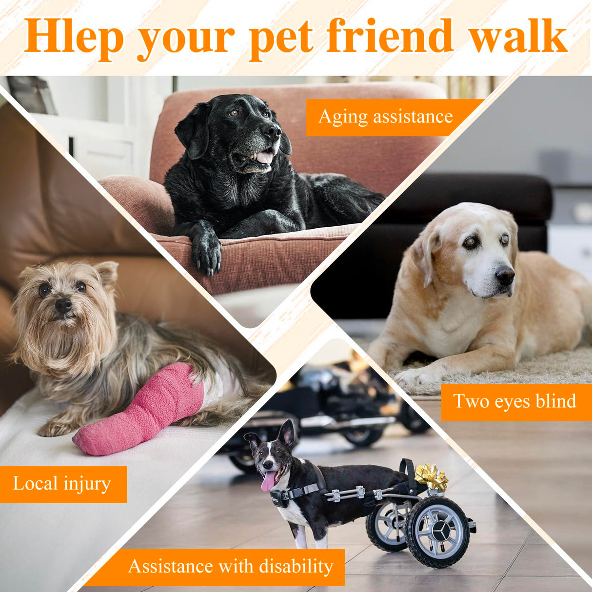 Dog Lift Harness, Dog Support & Recovery Sling for Full-Body & Hind/Front Leg β Pee-Able Design for Large/Medium Dogs β All-in-One Ideal Assistance for Senior, Disabled, Arthritic & ACL Canines (XXL)