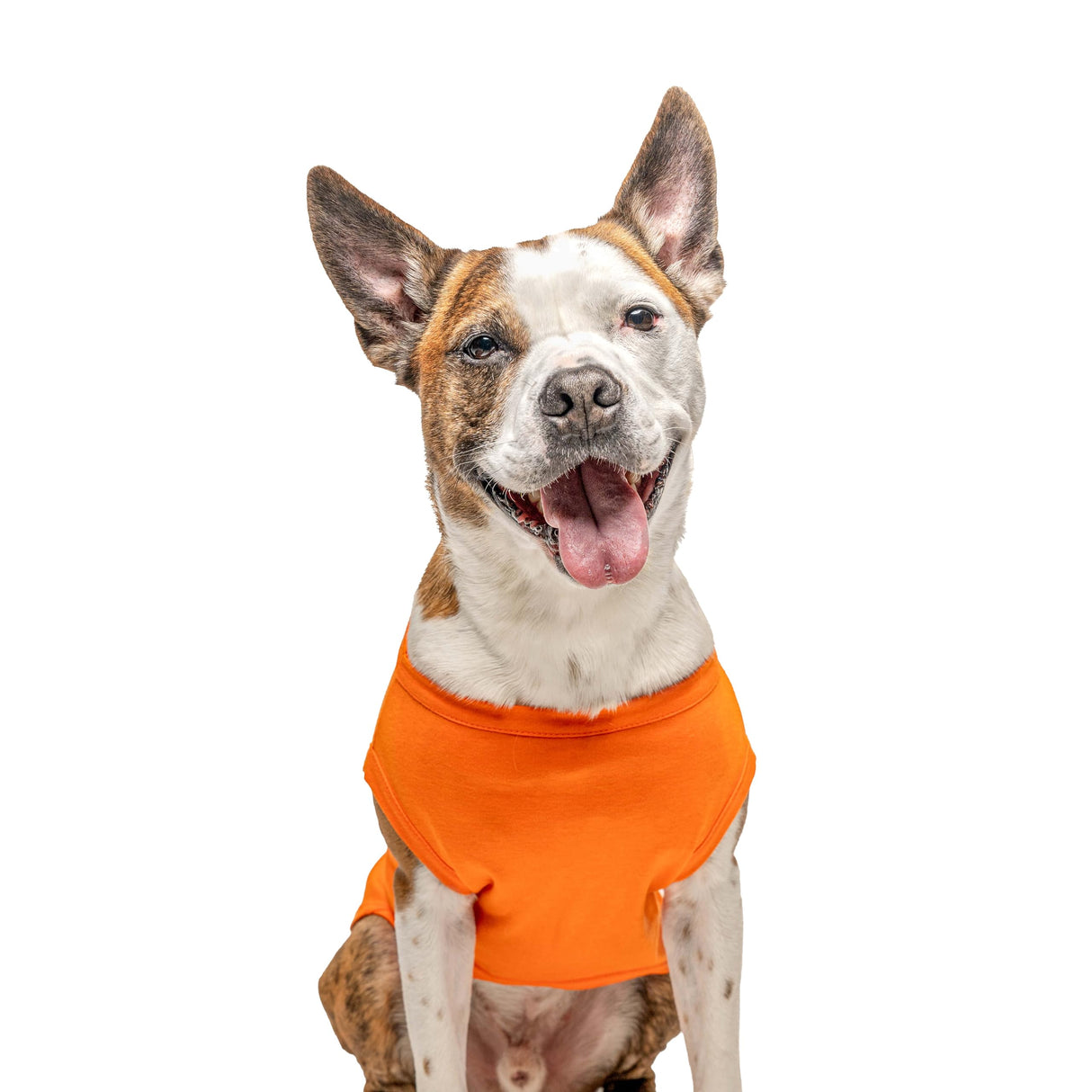 It's My Birthday & I'll Bark If I Want to Dog Tee Shirt | Sleeveless | Pawty | Party Theme | Celebration Supplies | Photoshoot (Orange, Large 1078)