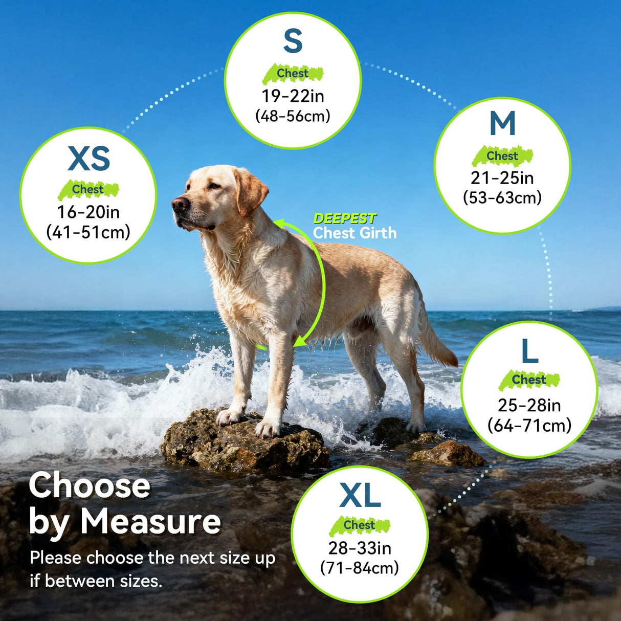 VIVAGLORY High Buoyancy Dog Life Vest, Swimming Vest with Handle, Dog Life Jacket for Swimming & Boating, Buoyancy for Puppy Doggy, S, Turquoise