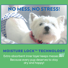 Load image into Gallery viewer, Out! PetCare Disposable Dog Diapers Male, Puppy Belly Band, Potty Training, Doggie Diapers, Belly Bands for Male Dogs, Puppy Training, Incontinence, (XS/S, 32ct)