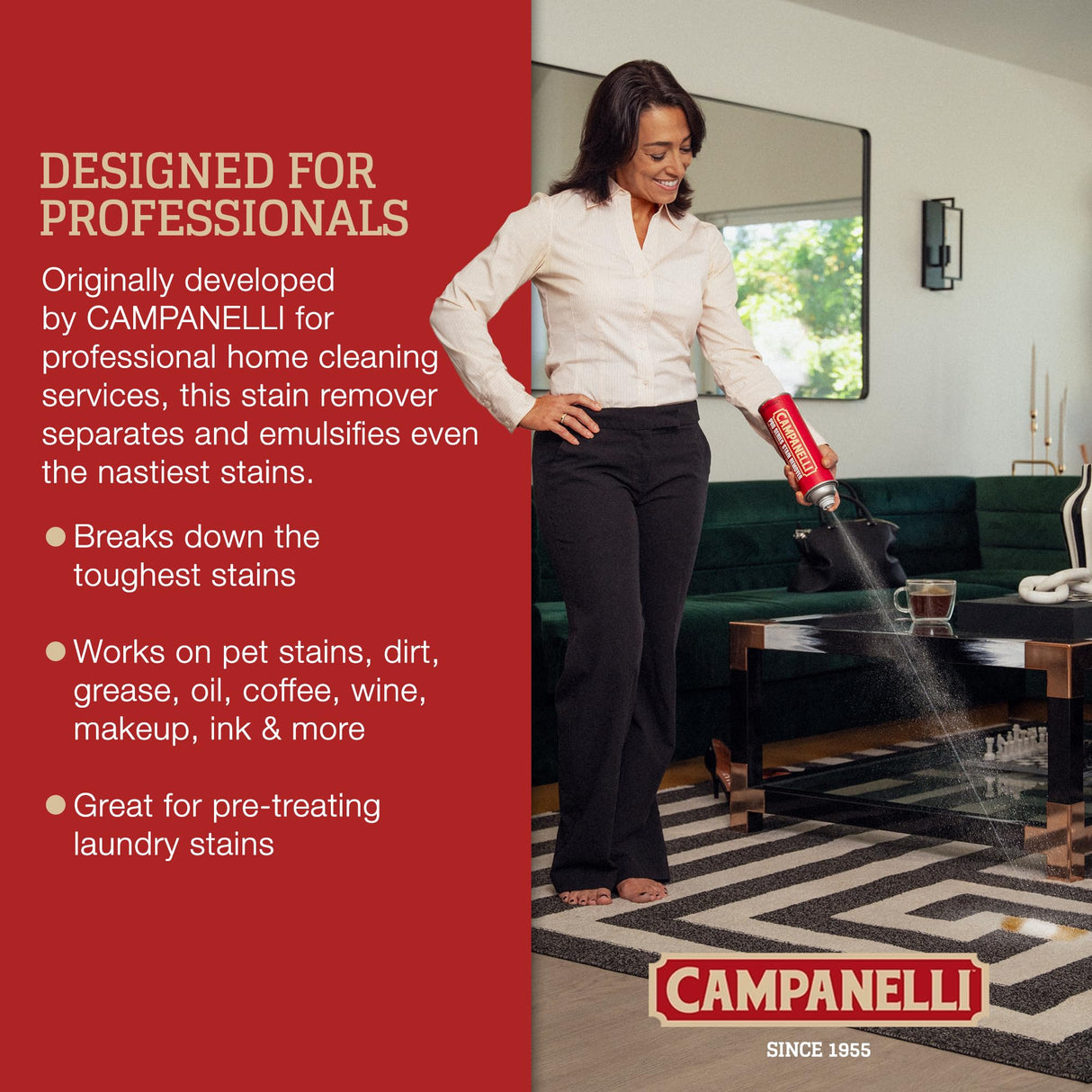 CAMPANELLI Pro Series Stain Remover Spray | Precision Point & Spray Carpet Cleaner for Pet Stains and Odors - Spot Remover for Carpets, Fabrics, Upholstery & Household Spills | 2 Pack, 18oz Each