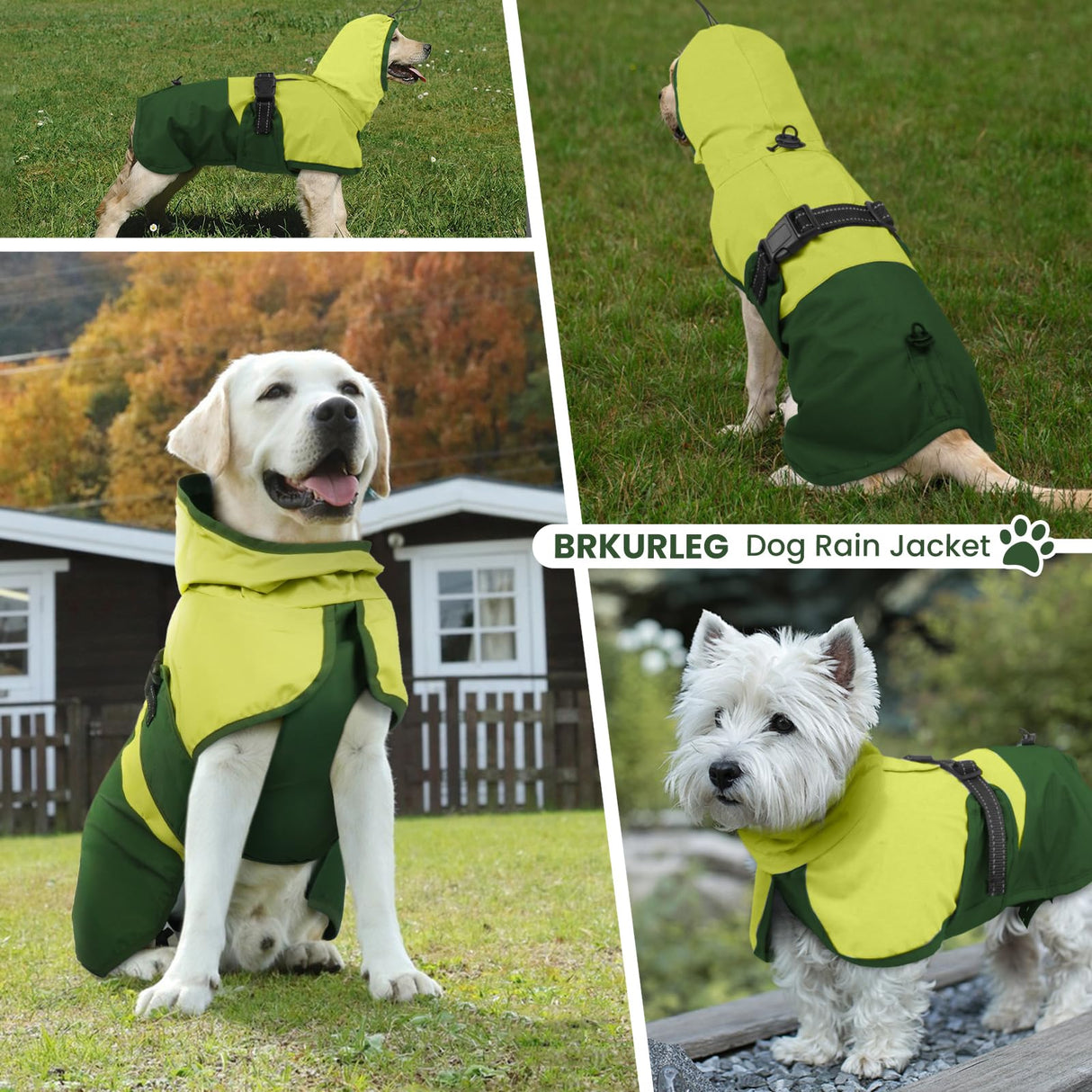 BRKURLEG Dog Raincoat for Small Medium and Large Dogs Waterproof Dog Rain Jacket Adjustable Hooded Dogs Raincoat Pet Rain Coat Poncho with Leash Hole, Reflective Strip, Green, M