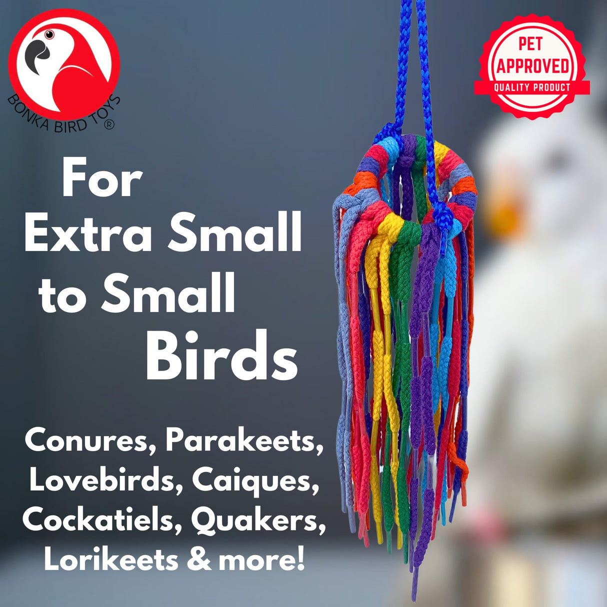 Bonka Bird Toys 51214 Small Aglet Heaven Cotton Shoelace Toy with Plastic Aglets and 2" Ring for Parakeets Cockatiels Quakers Pionus Small Bird Enrichment