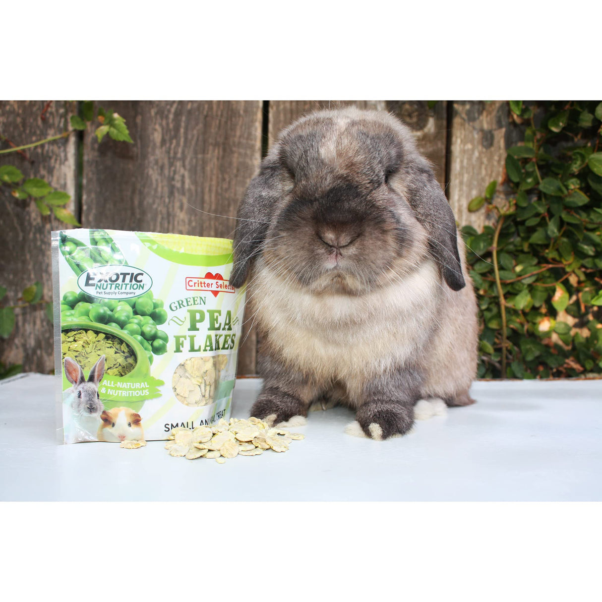 Exotic Nutrition Green Pea Flakes (1 lb.) - Healthy Natural Dried Vegetable Treat - for Rabbits, Guinea Pigs, Hamsters, Chinchillas & Other Small Pets