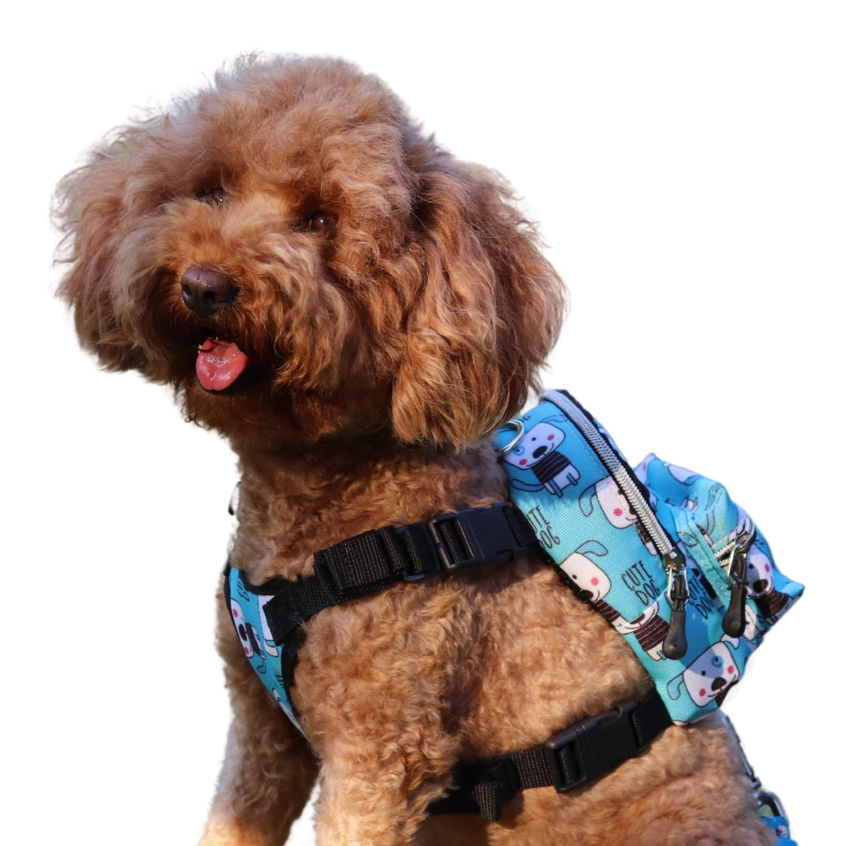 PawLook Dog Backpack to Wear with Chest Harness Self Carrier dogbag with Additional Pocket for Poop Bag Anti Slip Stylish Dog Bag for Your pet Street Smart Serie Pawsup Cute Small