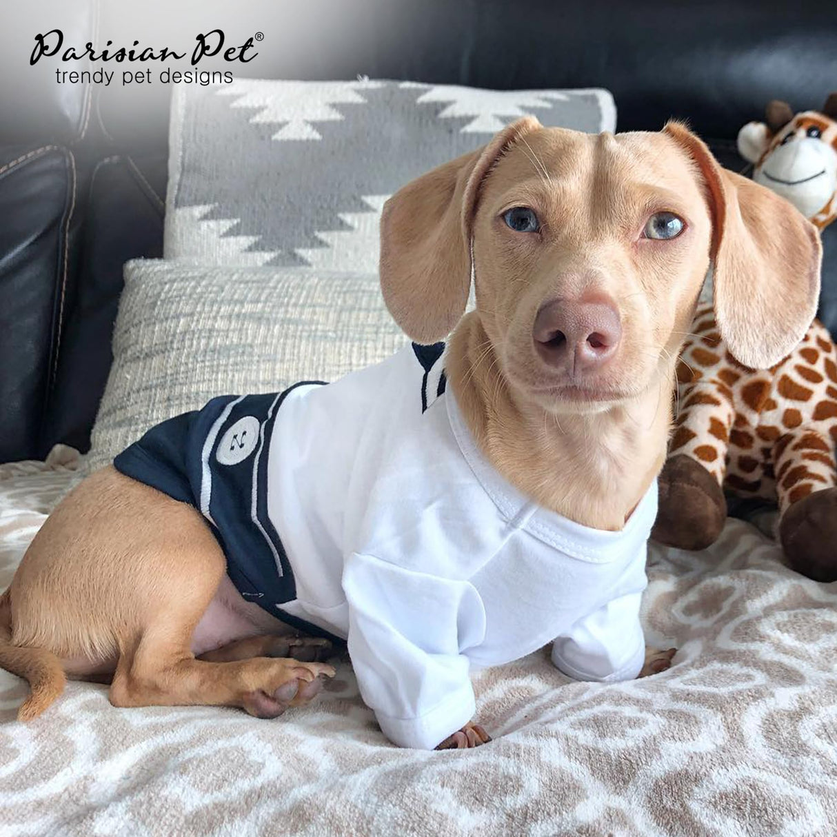 Parisian Pet Sailor Dog Costume - 100% Cotton Dog Clothes for Large Dogs Boys - Lightweight, Breathable Puppy Outfits - Funny French Bulldog Clothes - Cute Navy Pet Shirt - Stretchy T Shirt for Dogs