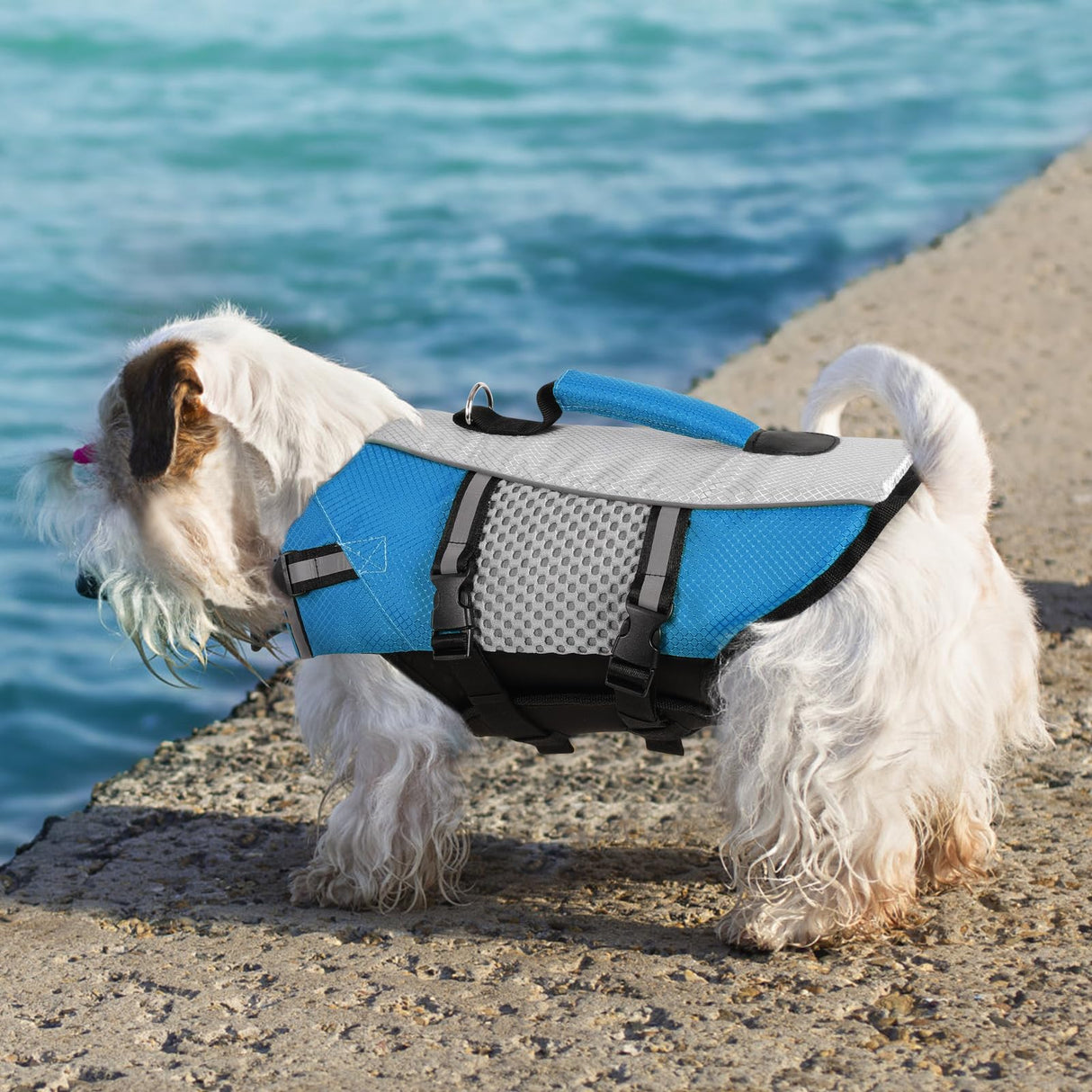 Queenmore Dog Life Jacket Vest for Swimming Boating Kayaking, Small Medium Doggie Puppy Life Preserver Lifesaver Pet PFD Lifejacket Safety Water Vest Pool Floatie (New Blue,L)