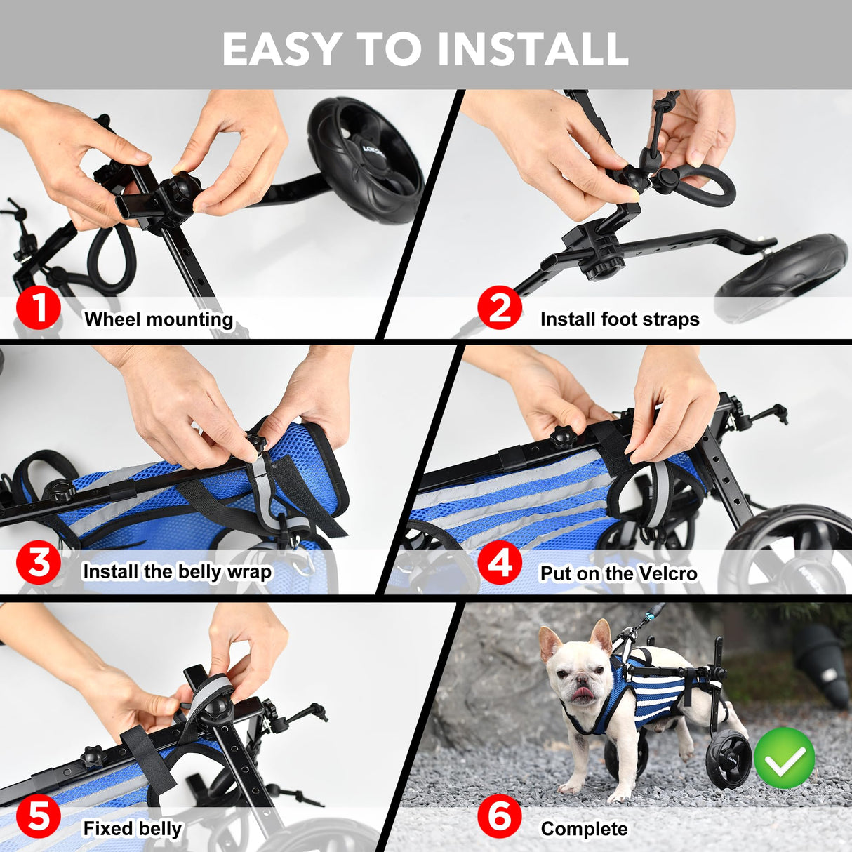 LOKSHUN Small Dog Wheelchair for Back Legs, Adjustable Rear Leg Mobility Support for Small Dogs up to 22 lbs, Lightweight Dog Mobility Cart with Harness, Heavy-Duty Wheels & 5ft Leash (Blue-XS).