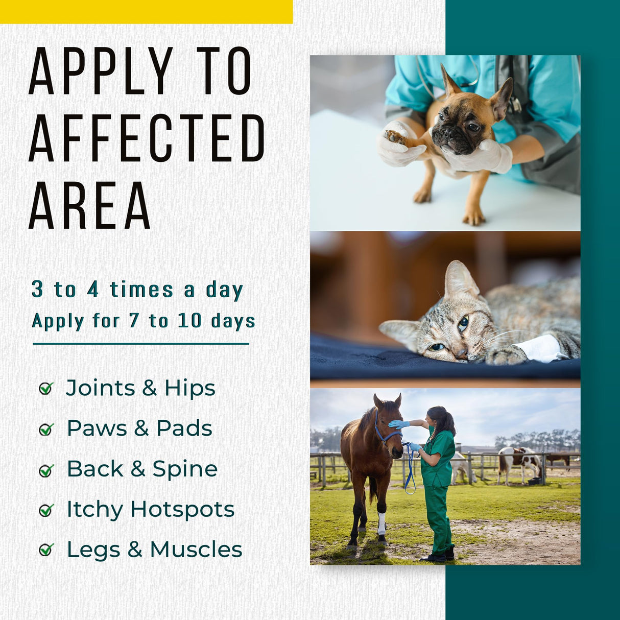 Real Time Pain Relief Pet Formula - 4oz Spray Bottle | Vet Recommended Relief for Pets | 16 Natural Ingredients Including Menthol, Aloe Vera, and Arnica | Gentle Cooling Sensation | Easy Application