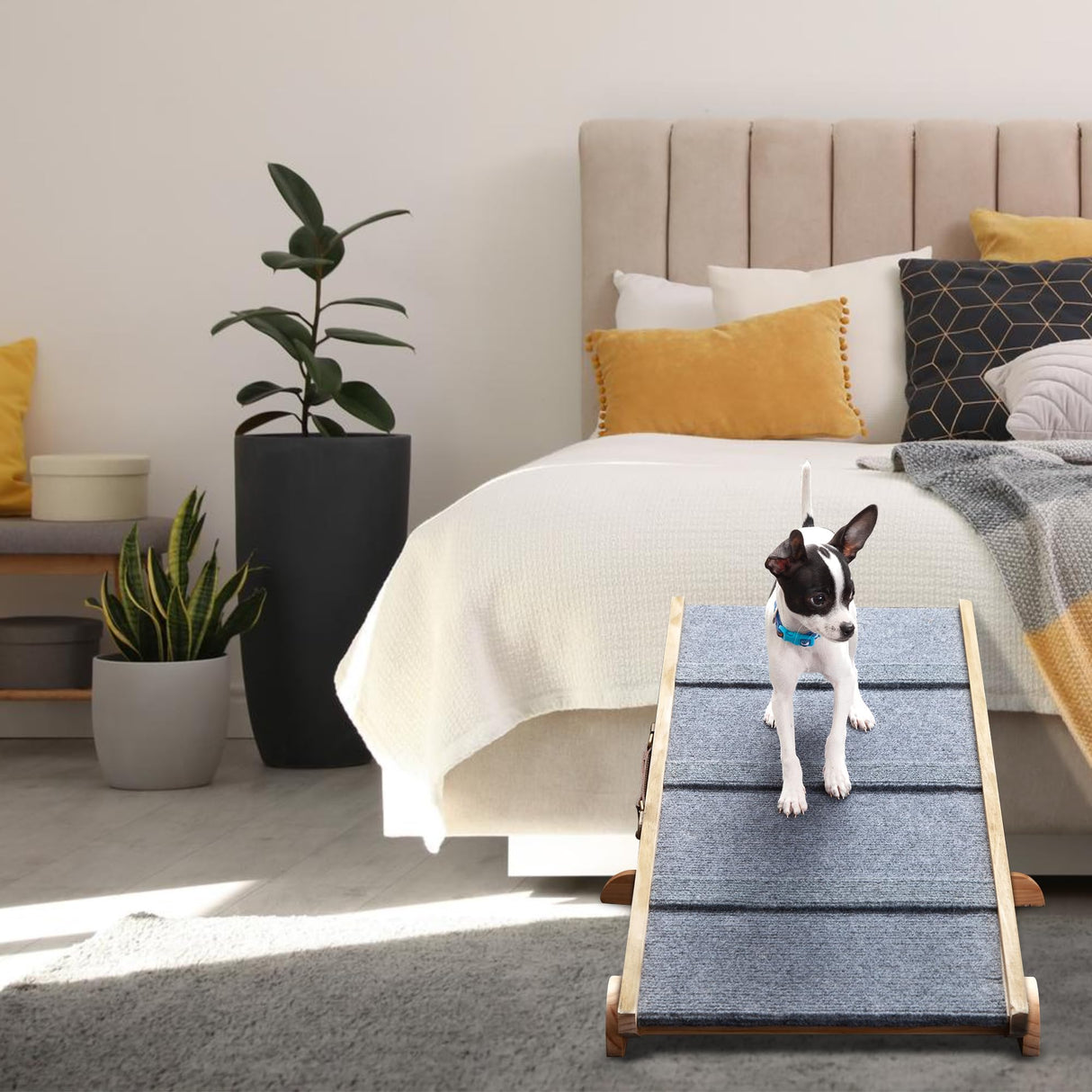 Dog-Proofer Pet Ramp - Lightweight and Durable Non-Slip Design for Pets Up to 150 Pounds, 6 Adjustable Easy-Access Heights, Folds Flat for Compact Storage, Up to 24.68 Inches Tall