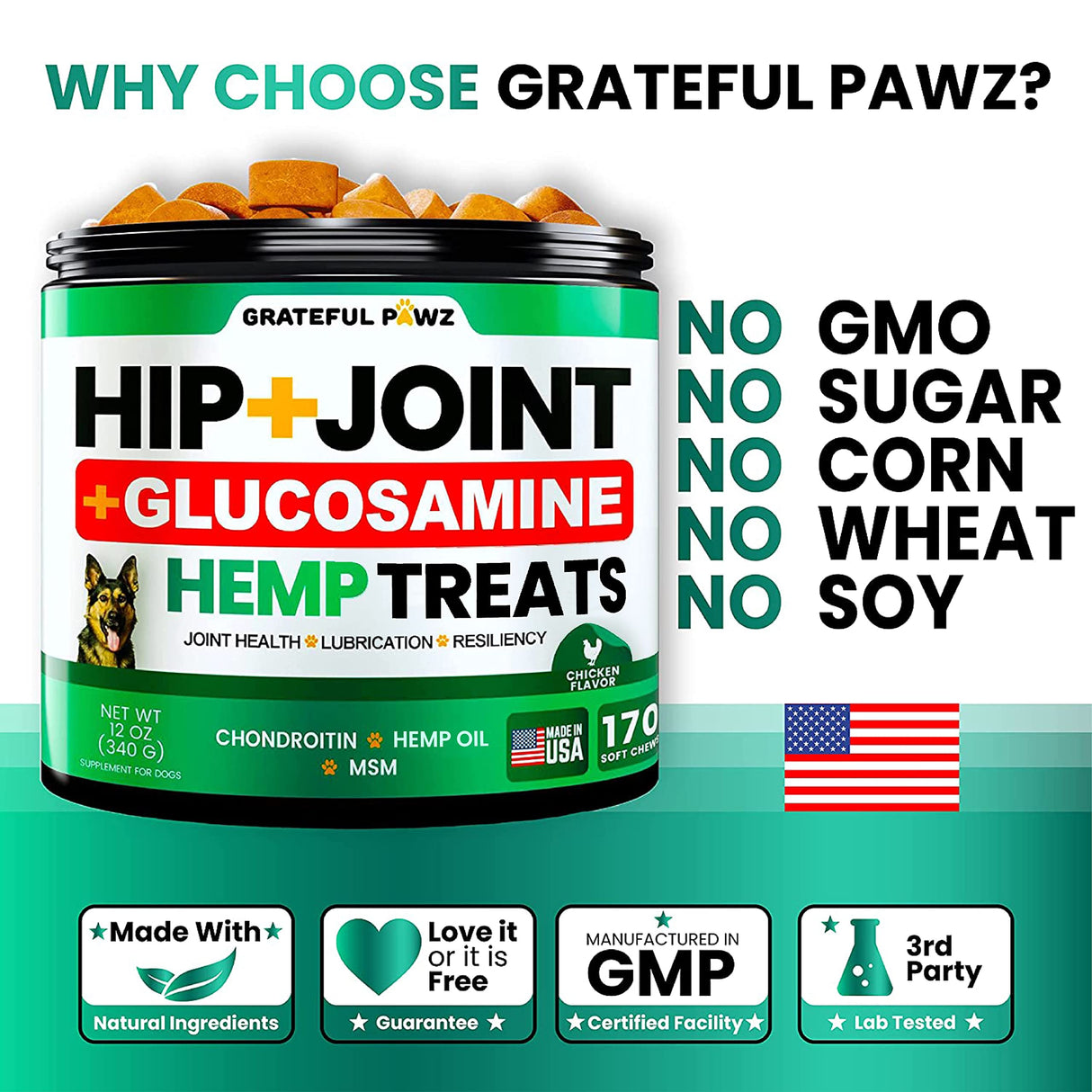 Hemp Hip and Joint Supplement for Dogs - Glucosamine for Dogs - 170 Joint Pain Relief Treats - Chondroitin, MSM, Hemp Oil - Advanced Health Supplement - Mobility Support Chews - Made in USA