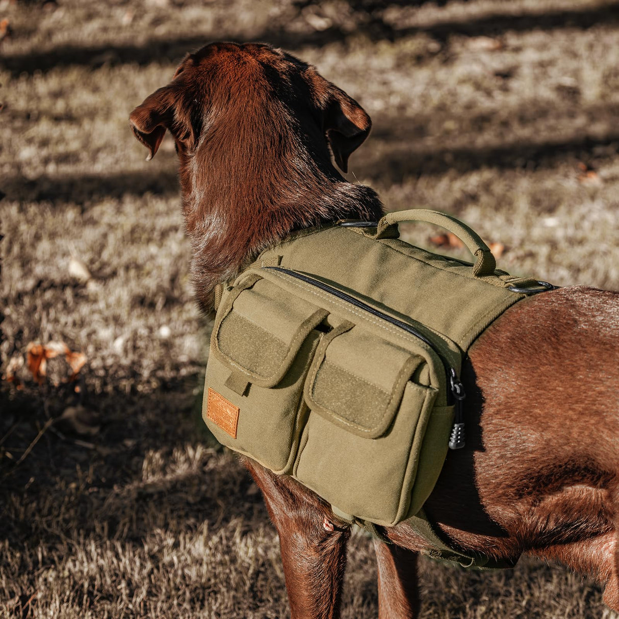 ONETIGRIS Dog Hiking Backpack, Dog Pack for Medium Large Dogs, HOPPY CAMPER 3.0 Dogs Saddle Bag Harness Outdoor Hiking (M, Brown)
