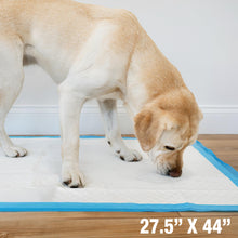 Load image into Gallery viewer, Four Paws Wee-Wee Superior Performance Pee Pads for Dogs with Runoff Barrier Edge Guard Protection, Puppy & Dog Potty Training Pads, Housebreaking Supplies, 27.5" x 44" (18 Count)