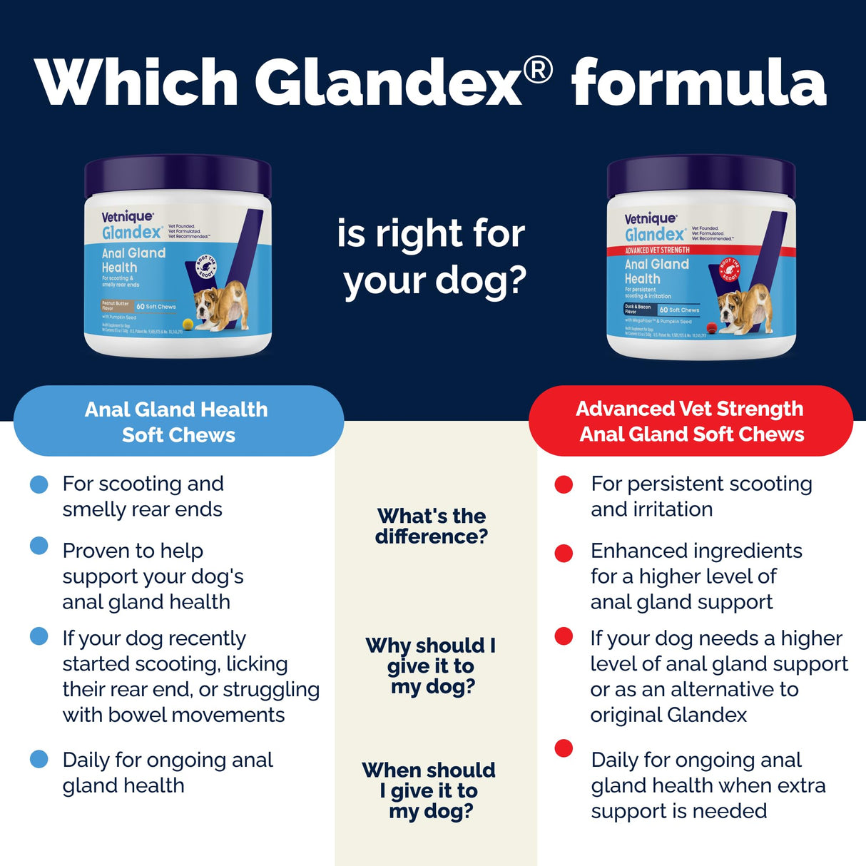 Vetnique Glandex Anal Gland Soft Chew Treats with Pumpkin for Dogs Digestive Enzymes, Probiotics Fiber Supplement for Dogs Boot The Scoot (Bacon Flavor Chews, 60 Count)
