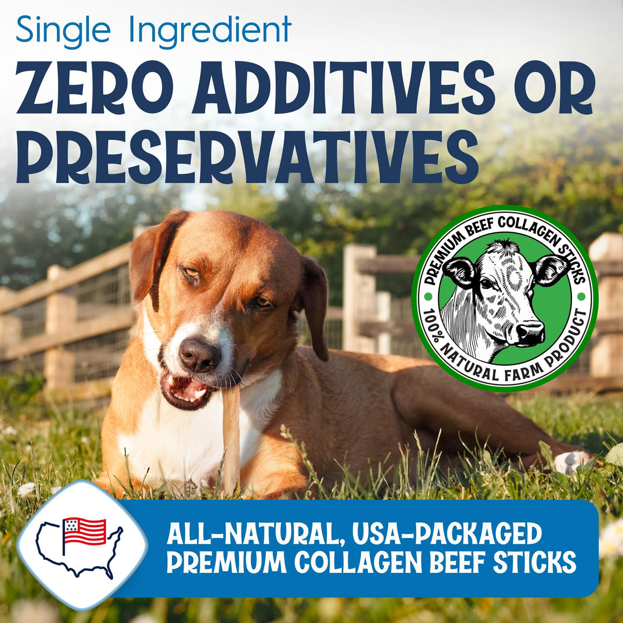 Fetcheroni 12" Collagen Sticks for Dogs – Low Odor Long-Lasting Bully Stick & Rawhide Alternative, Single Ingredient Beef Bone, High Protein Dental Treat, Vet Approved, Improves Joint Health – 20 Pack