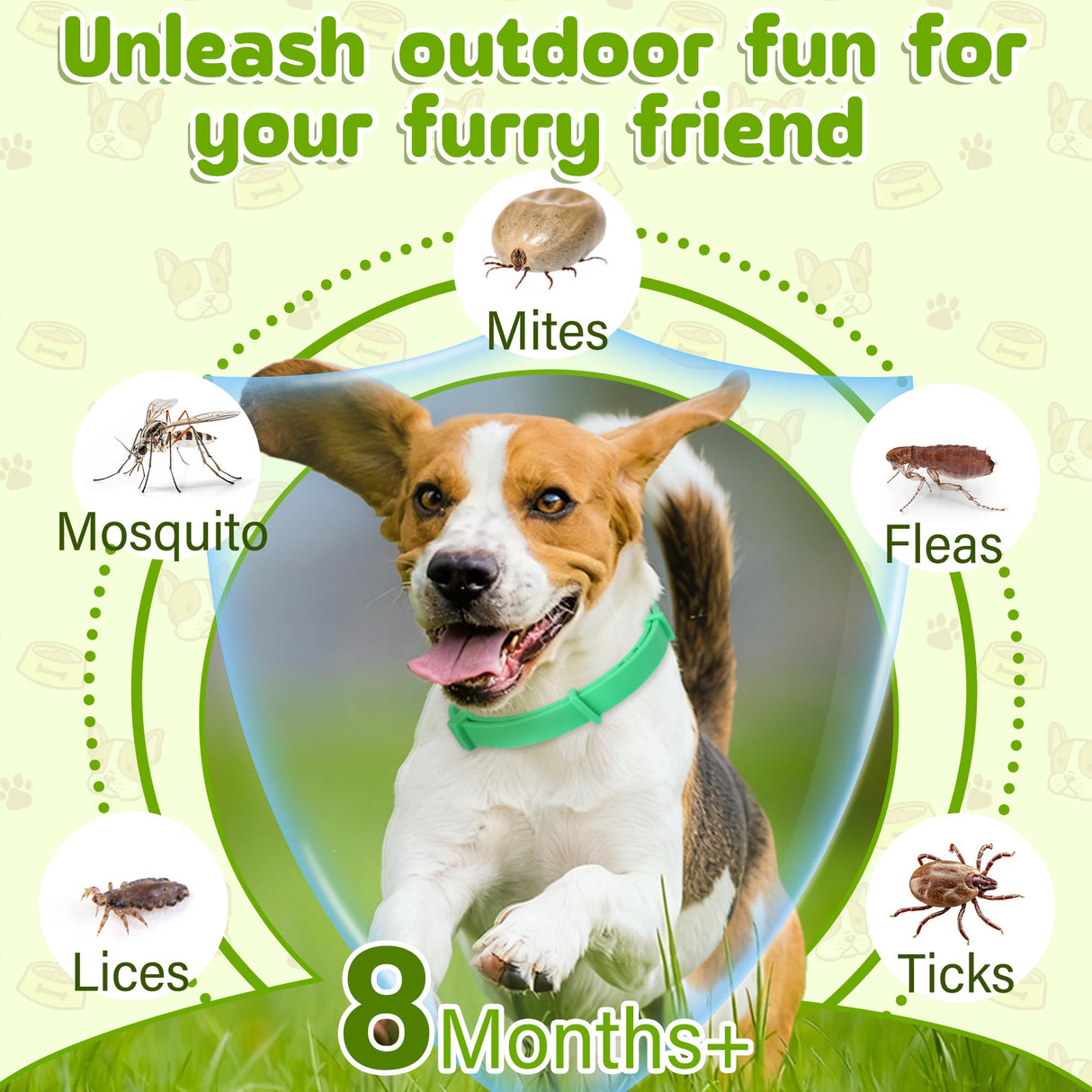 Trihood Natural Flea & Tick Prevention Dog Collars – 2-Pack Adjustable Waterproof Collars with Essential Oils (Lemon Eucalyptus, Citronella, Lavender, Linalool), Safe for All Breeds