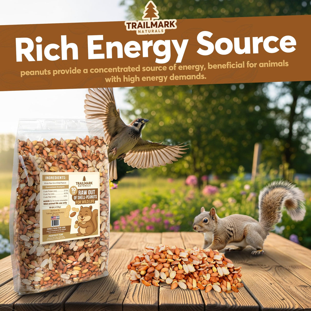 25 LB - Raw Shelled Peanuts for Squirrels, Out of Shell Peanuts for Birds and Wildlife- Squirrel Food, Wild Bird Seed - Grown in The USA