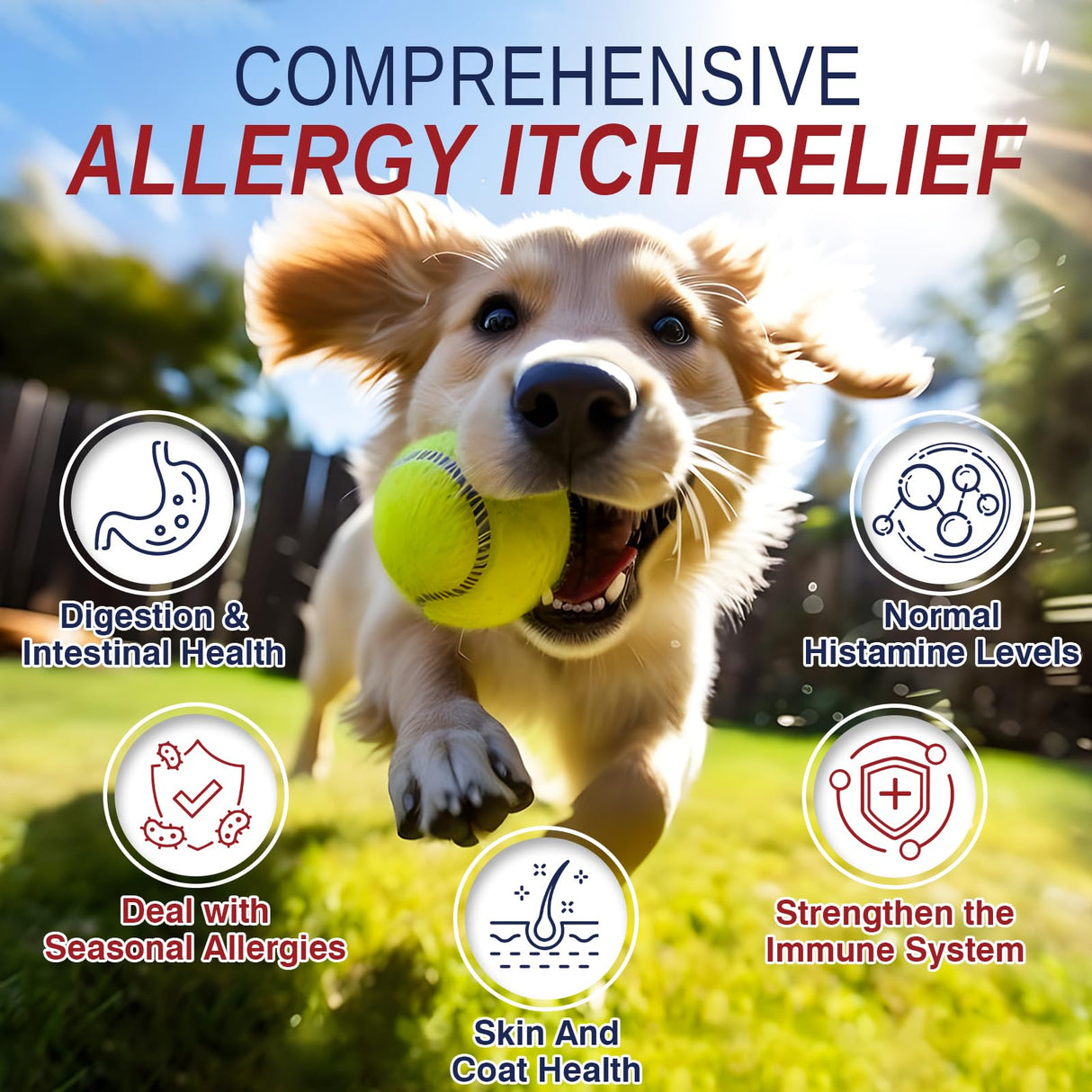 200 Treats, Dog Allergy Chews Immune Support Dogs Dog Allergy and Itching Skin Relief Bites Probiotics for Yeast, Itchy Skin and Itchy Ears Anti Itch Licking Paws Treatment for Dogs Seasonal Allergies