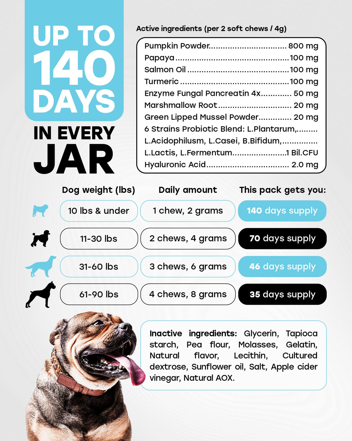 Pup Choice Chewable Dog Probiotics – All-in-One PhD-Endorsed Digestive Enzymes, Prebiotics, Turmeric, Omega-3 & Fiber – Gut, Diarrhea, Itchy Skin & Ear Support – All Ages, Made in USA, 140 Beef Chews
