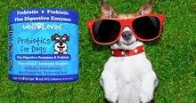 Load image into Gallery viewer, Well Loved Probiotics for Dogs, Dog Probiotics, Made in USA, Vet Developed for Gut Health, Yeast Balance, Itchy Skin, Diarrhea & Gas Relief, Chews with Prebiotic & Digestive Enzymes, Digestive Support