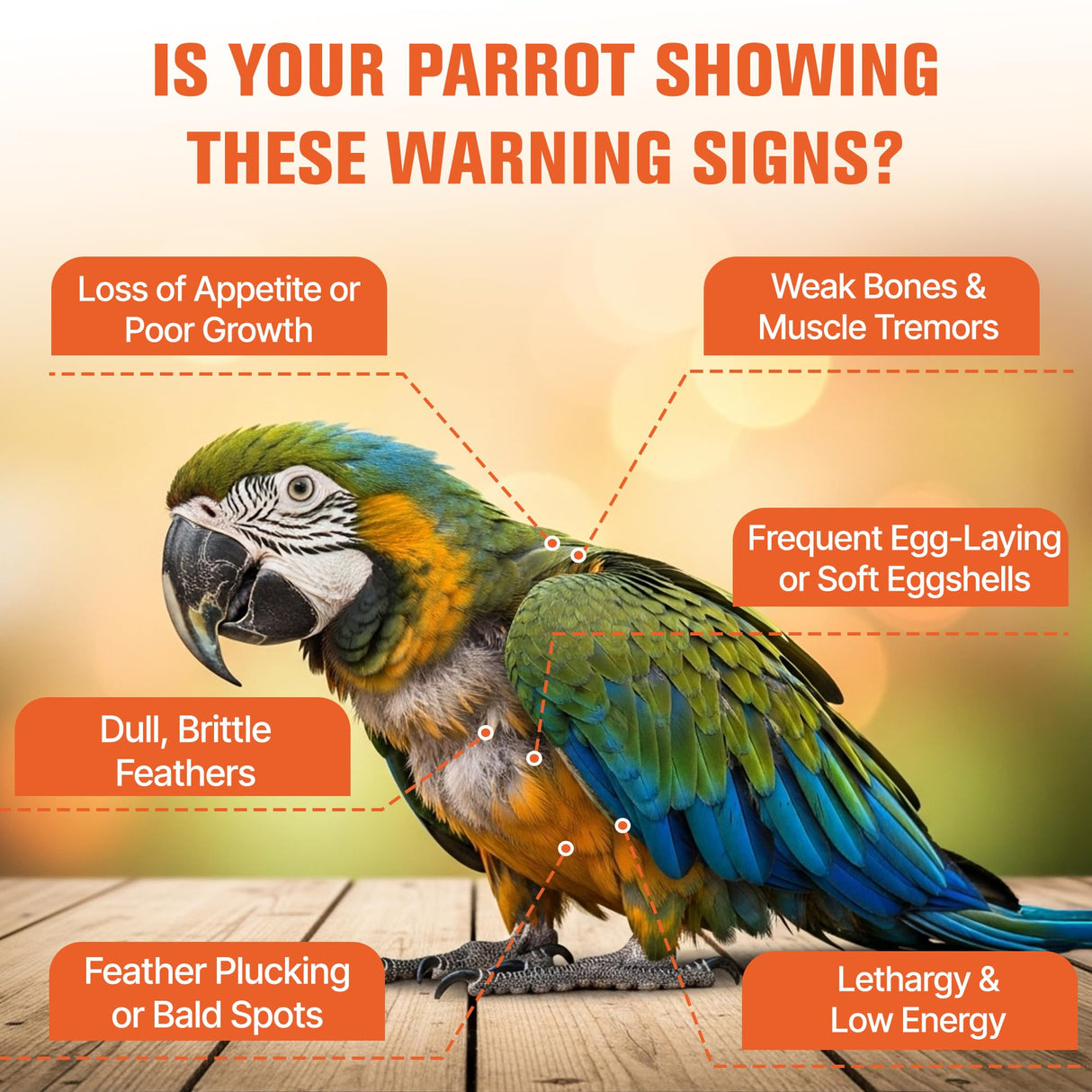 Calcium for Birds with Magnesium & Vitamins D3–Vet-Developed Formula for Parrots, Supports Strong Bones, Eggshell Health,Feather Growth,Muscle & Nerve Function,Dissolves Tasteless in Water,80 Servings