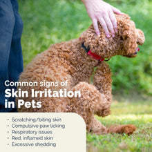 Load image into Gallery viewer, Vetnique Dermabliss Advanced Vet Strength Chlorhexidine for Dogs - Antibacterial Medicated Dog Shampoo - for Skin Infections & Irritation, Hot Spots & Redness Relief (Medicated Shampoo, 16oz)