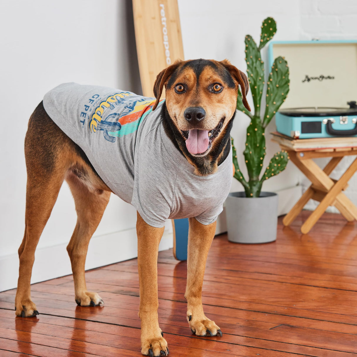 GF Pet - Graphic Tee Dog T-Shirt (Heather Grey, Medium)
