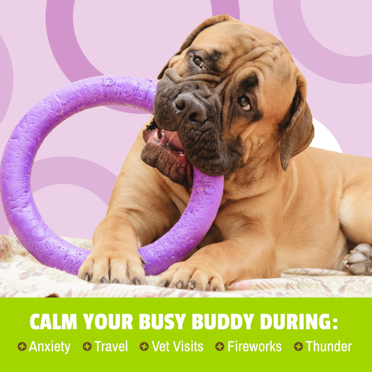 Pet Naturals BusyButter Extra Strength Calming Peanut Butter for Dogs - Great for Dog Toys, Lick Mats, Training, Calming Treats, Dog Anxiety Relief, Grooming, Treats and More - 1 6oz Pouch