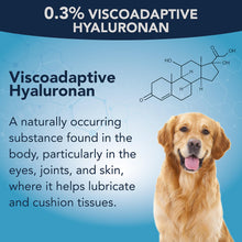 Load image into Gallery viewer, NOVEHA Pet Gel Eye Drops with 0.3% Viscoadaptive Hyaluronan | Eye Solution for Severe Dry Eyes - Long Lasting Hydration, Reduces Nuisance, Swelling & Dryness - Eye Lube for Dogs and Cats (2x10mL)