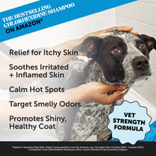 Load image into Gallery viewer, Pet Honesty Chlorhexidine Cat & Dog Seasonal Itch Relief Shampoo, for Allergies, Itching, Skin and Coat Supplement, Helps Shedding, Hot Spots, Deodorizing Dog Shampoo & Grooming Supplies,16oz