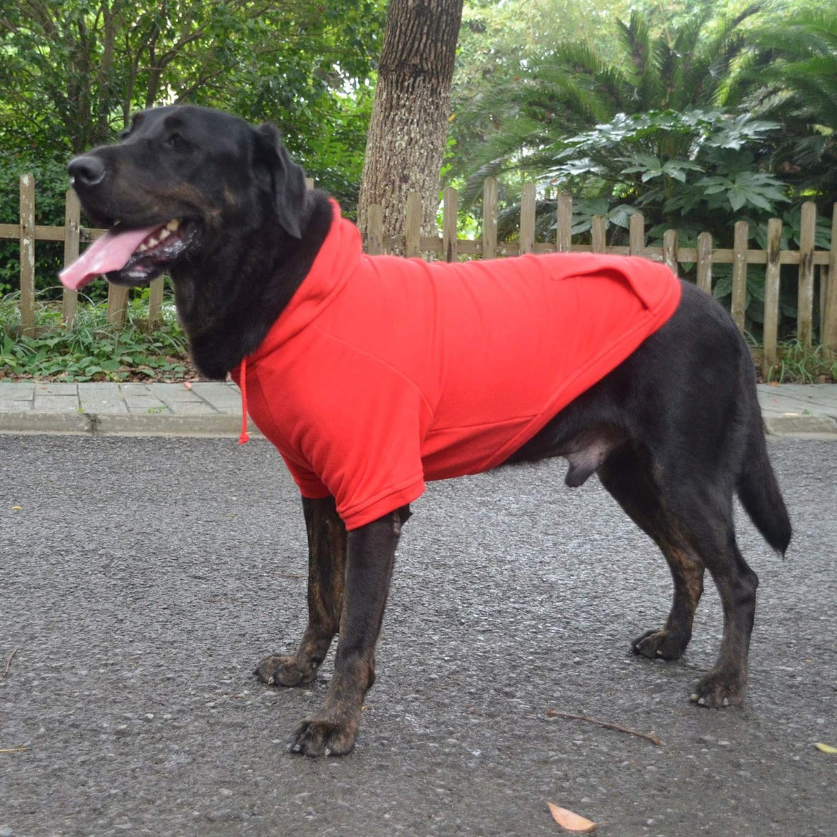 Lovelonglong Blank Basic Hoodie Sweatshirt for Dogs 100% Cotton Fits Small Medium Dachshund Large Dog Red 3XL