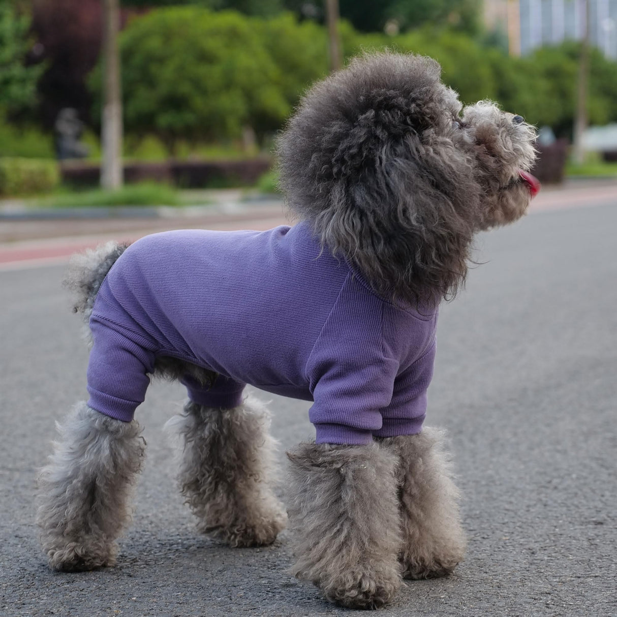 Lovelonglong Ribbed Dog Pajamas Cotton Knitted Dog Jumpsuits 4 Legged All Season Warm Pet Bodysuits for Large Medium Small Dogs Purple 3XL