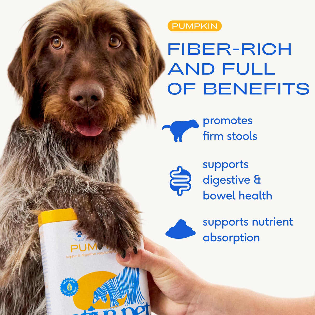 Native Pet Pumpkin for Dogs - Organic Powder Pumpkin Puree Dog Food Toppers-Rich in Fiber Supplement Powder Helps with Digestion, Nutrient Absorption, Diarrhea, Constipation & Upset Stomach-120 Scoops