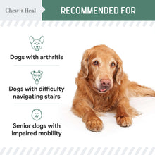 Load image into Gallery viewer, Chew + Heal Labs Glucosamine for Dogs Hip and Joint Supplement - 60 Senior Dogs Mobility Soft Chews - Made with Glucosamine, MSM, Chondroitin, Green Lipped Mussels and More - Made in The USA
