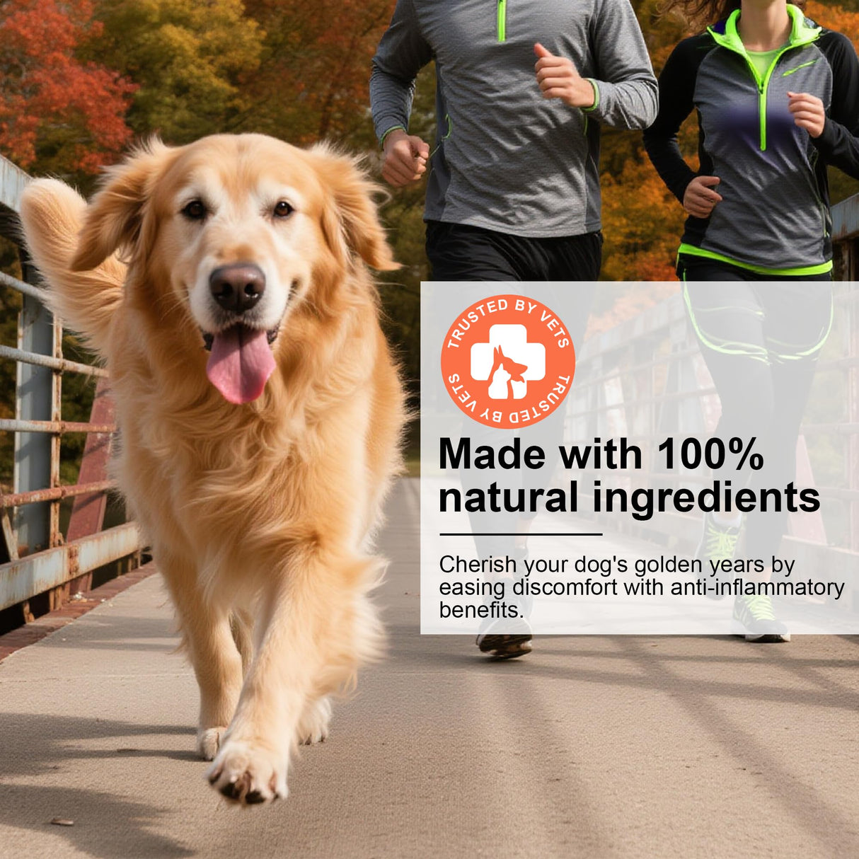 GAIAKINGCO Hip and Joint Supplement Powder for Dogs Glucosamine for Dogs, Dog Arthritis Vitamins for Hip and Joint Pain Relief Contains Glucosamine Chondroitin MSM Vitamin E for All Breeds and Sizes