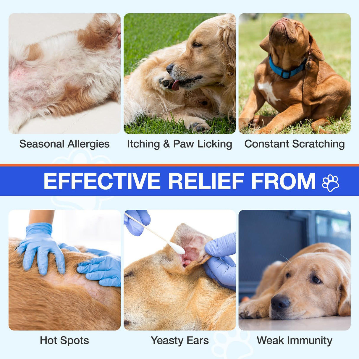 Dog Allergy Chews - Itching Skin Relief - 180 Chews Natural Dog Allergy Relief Treatment for Paw Licking, Anti-Itch, Dry Skin, Hot Spots, Allergies & Immune Support Supplement