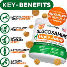 Load image into Gallery viewer, Petsology Glucosamine for Dogs - Hip and Joint Supplement for Dogs - 170 Mobility Chews - Glucosamine Chondroitin - MSM - Turmeric - Joint Pain Relief - Advanced Support for Dog Health - Made in USA